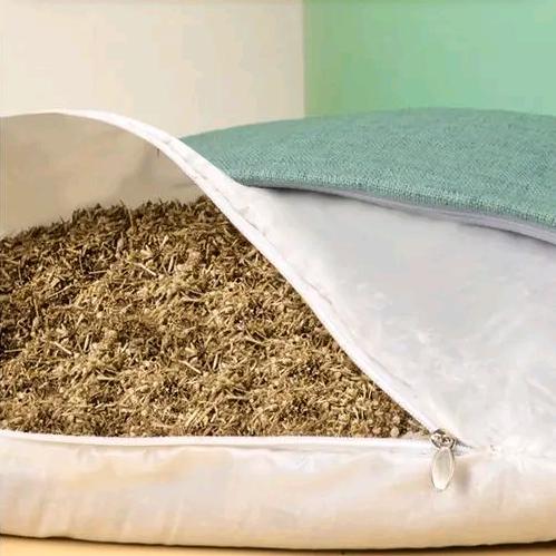 南阳辅艾草之乡