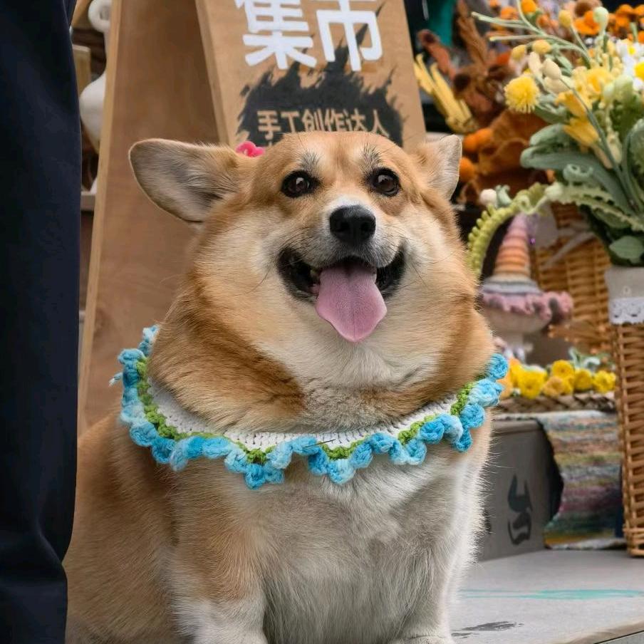 可以