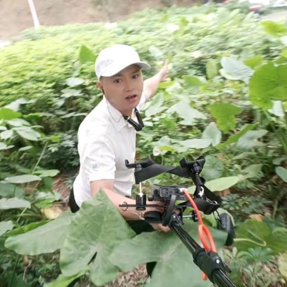 高诺