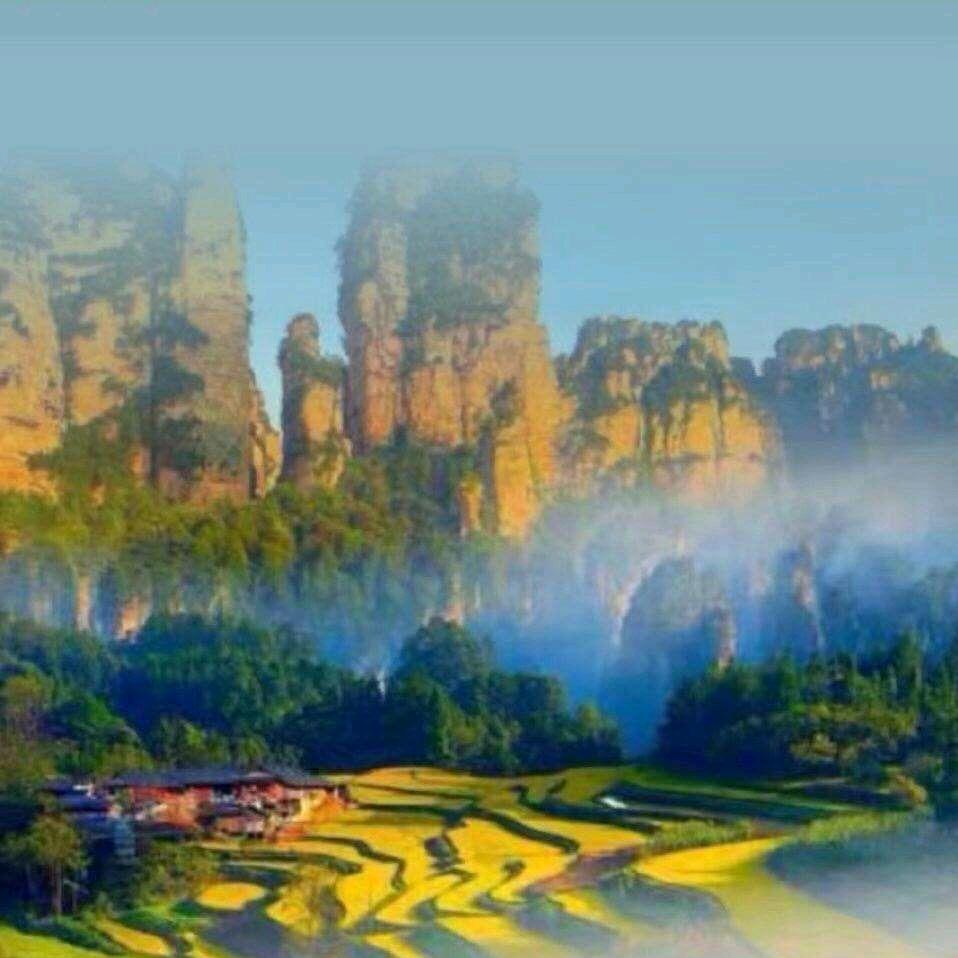 钱八(桃花谷农场)