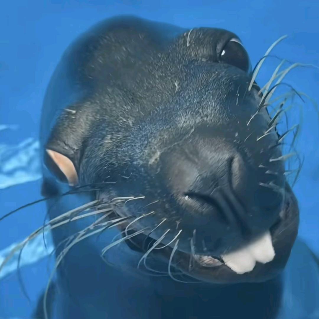 不要念我的名字