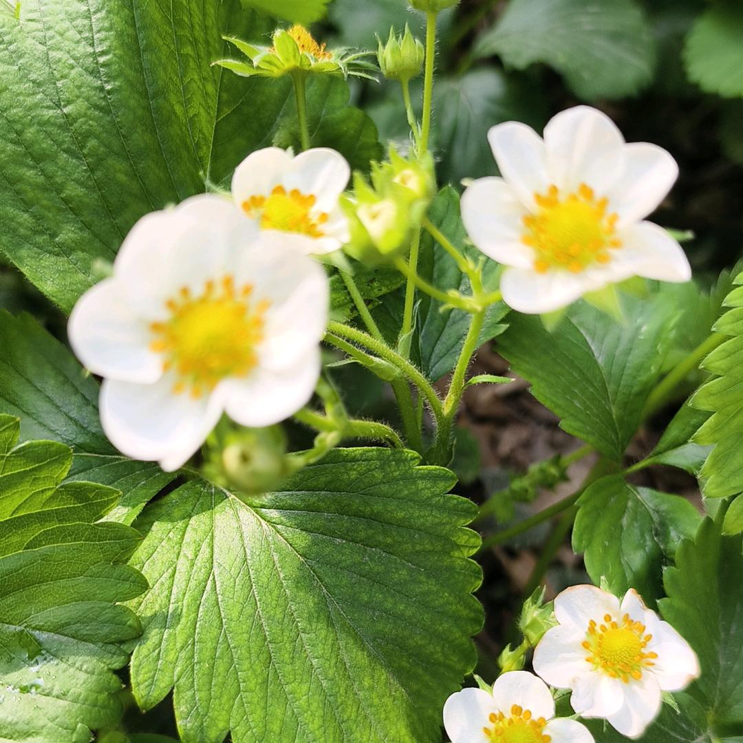 河北天拓玻璃钢有限公司