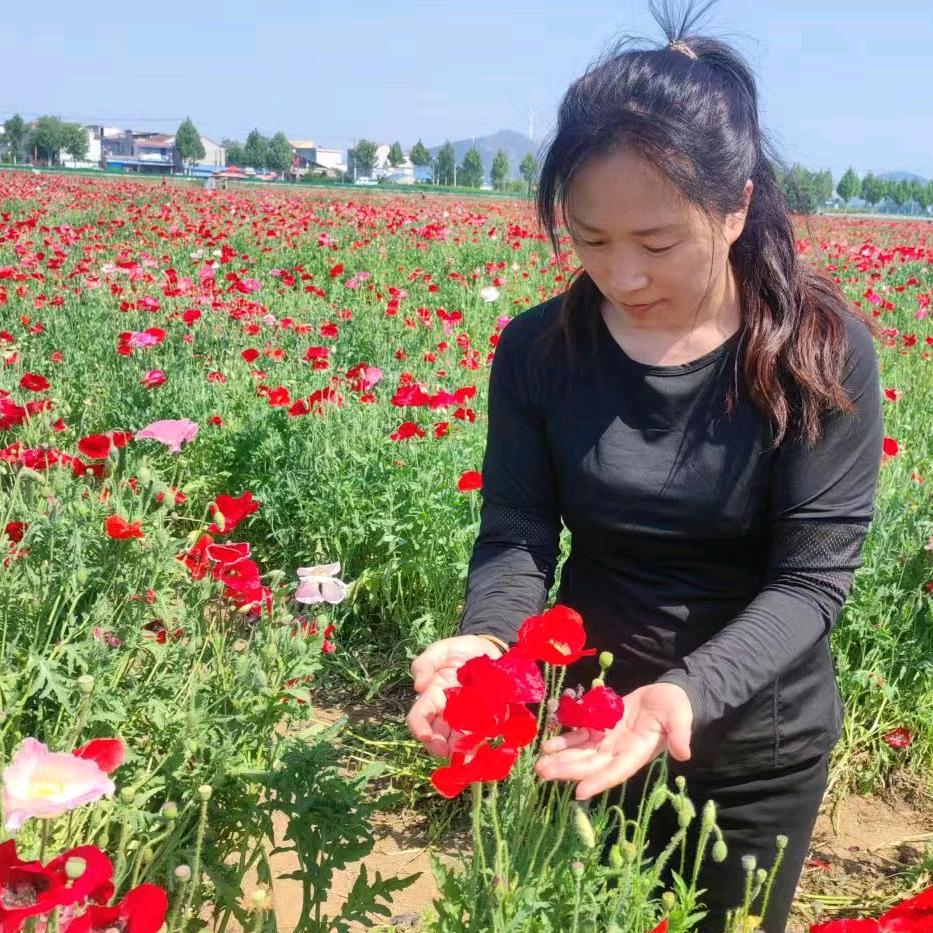 大妙