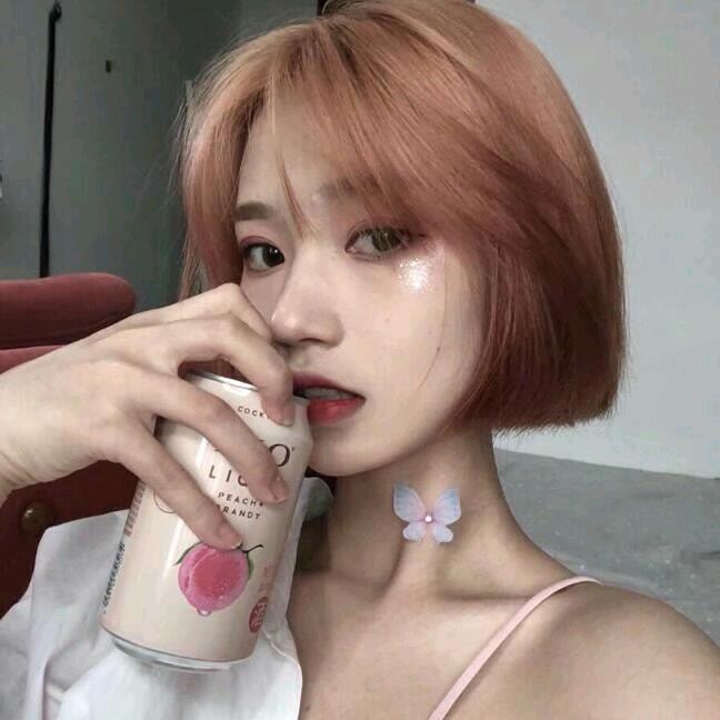 社会你丽姐