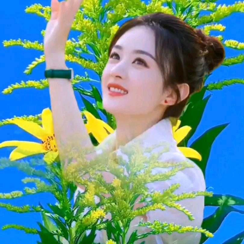 小陈百货好物推荐