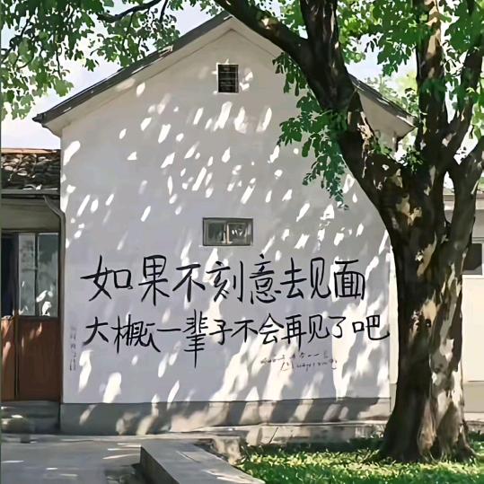 内裤在好也只为装B
