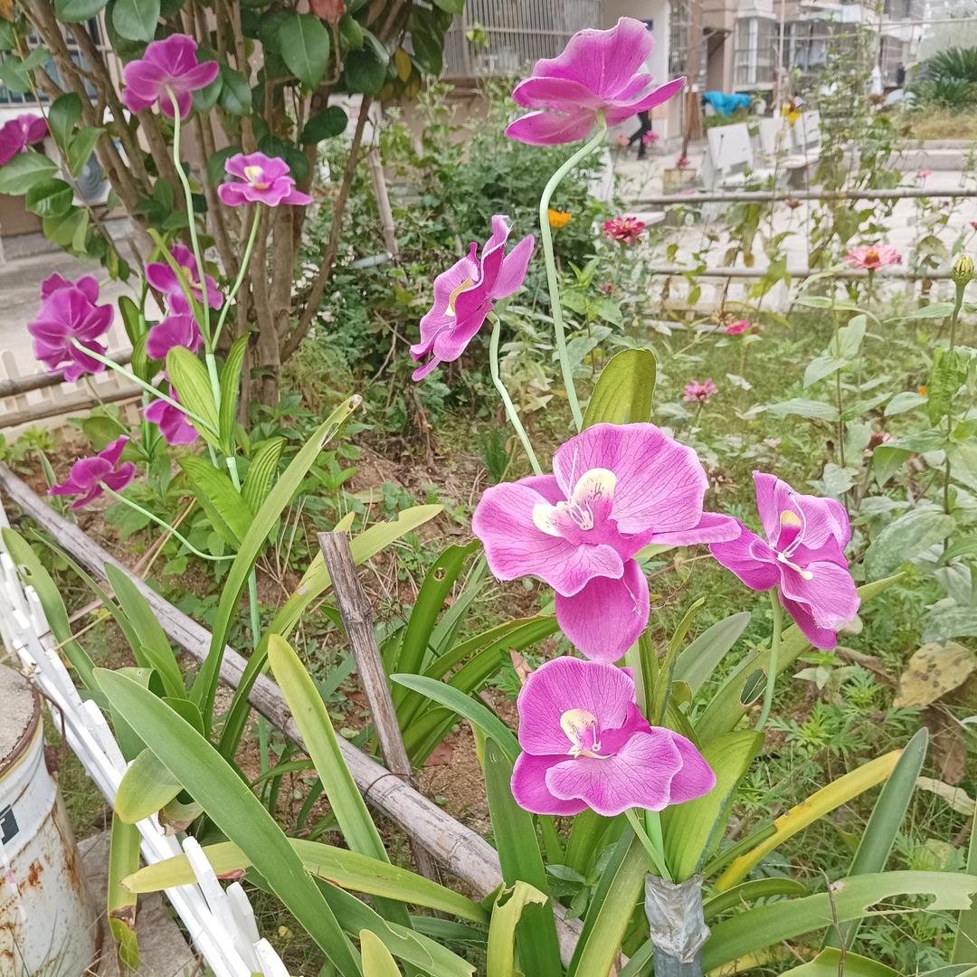 💞᭄ 喜洋洋༊💞