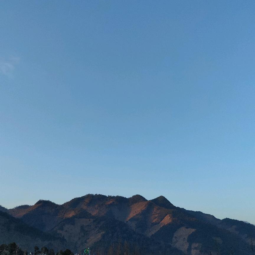 🔥翻斗花园101⁶⁸¹