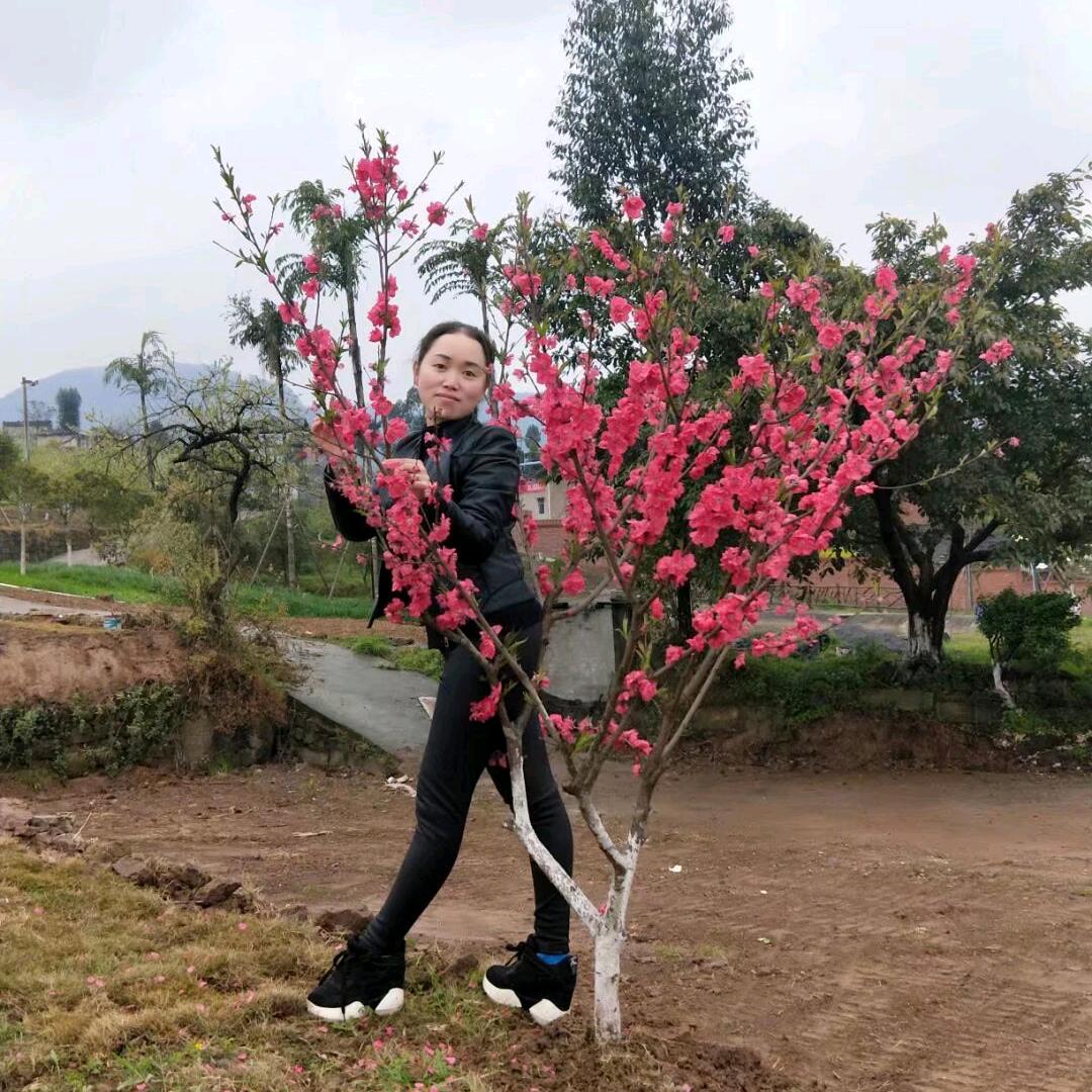 娟娃子