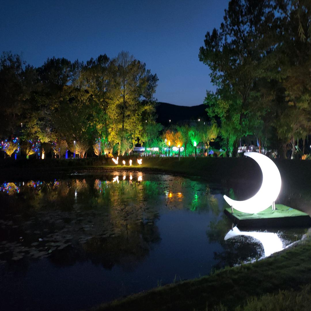 他强任他强清风拂山岗😃