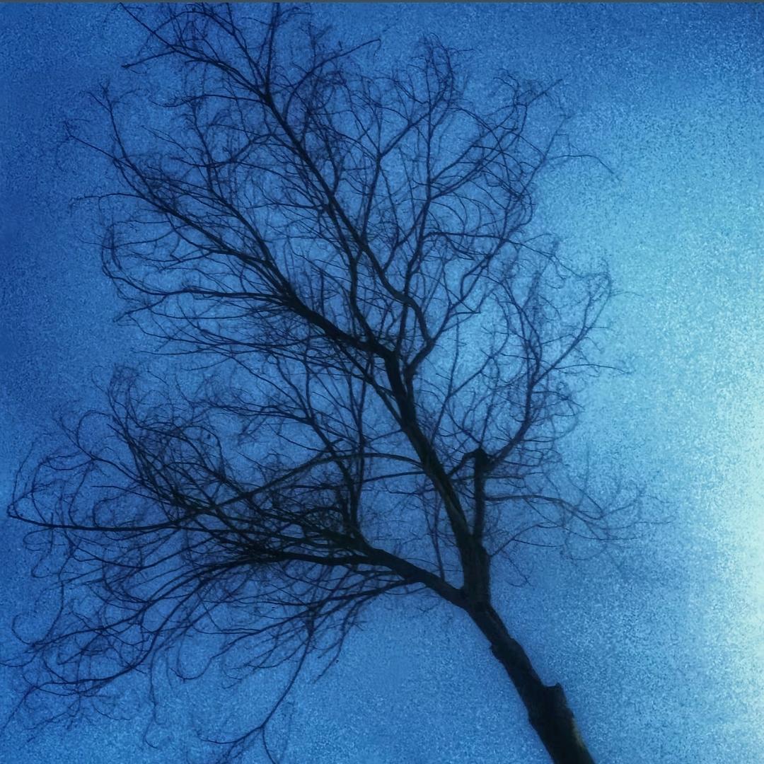 𝑺𝒂𝒌𝒖𝒓𝒂