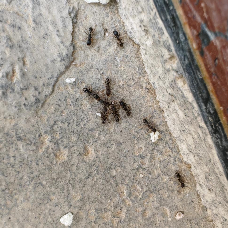 居家“三维”修复师