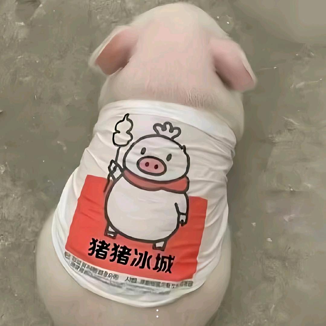 小欣ovo