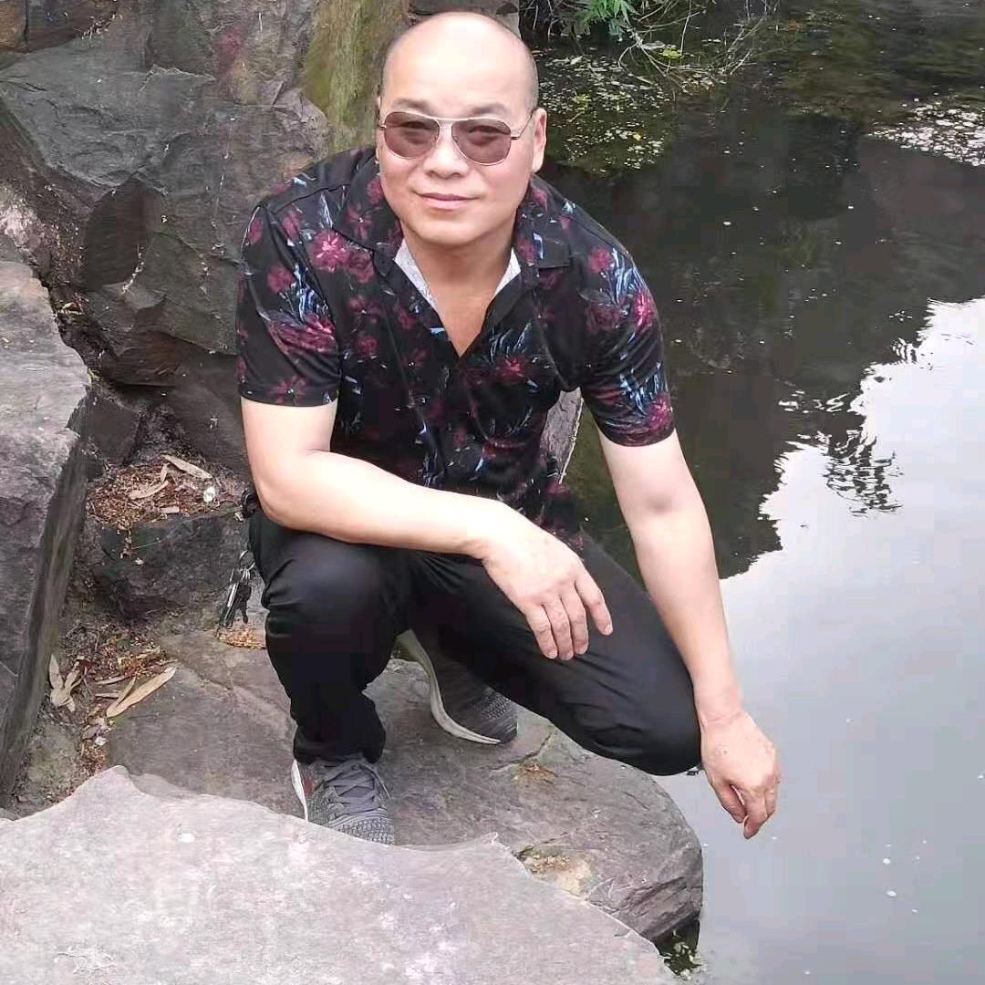 菠萝苗