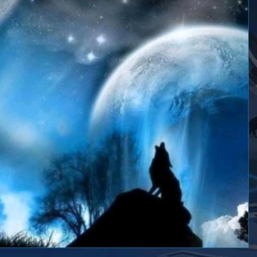 王者上星全靠混