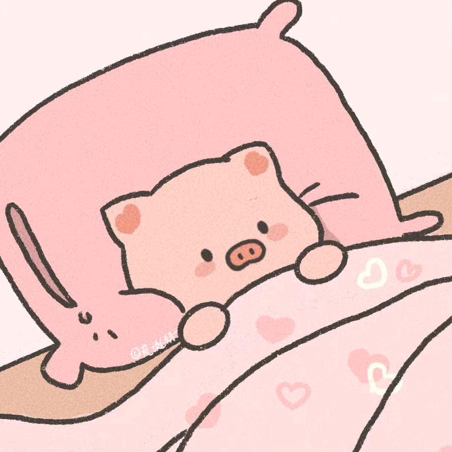 家里猫跑了
