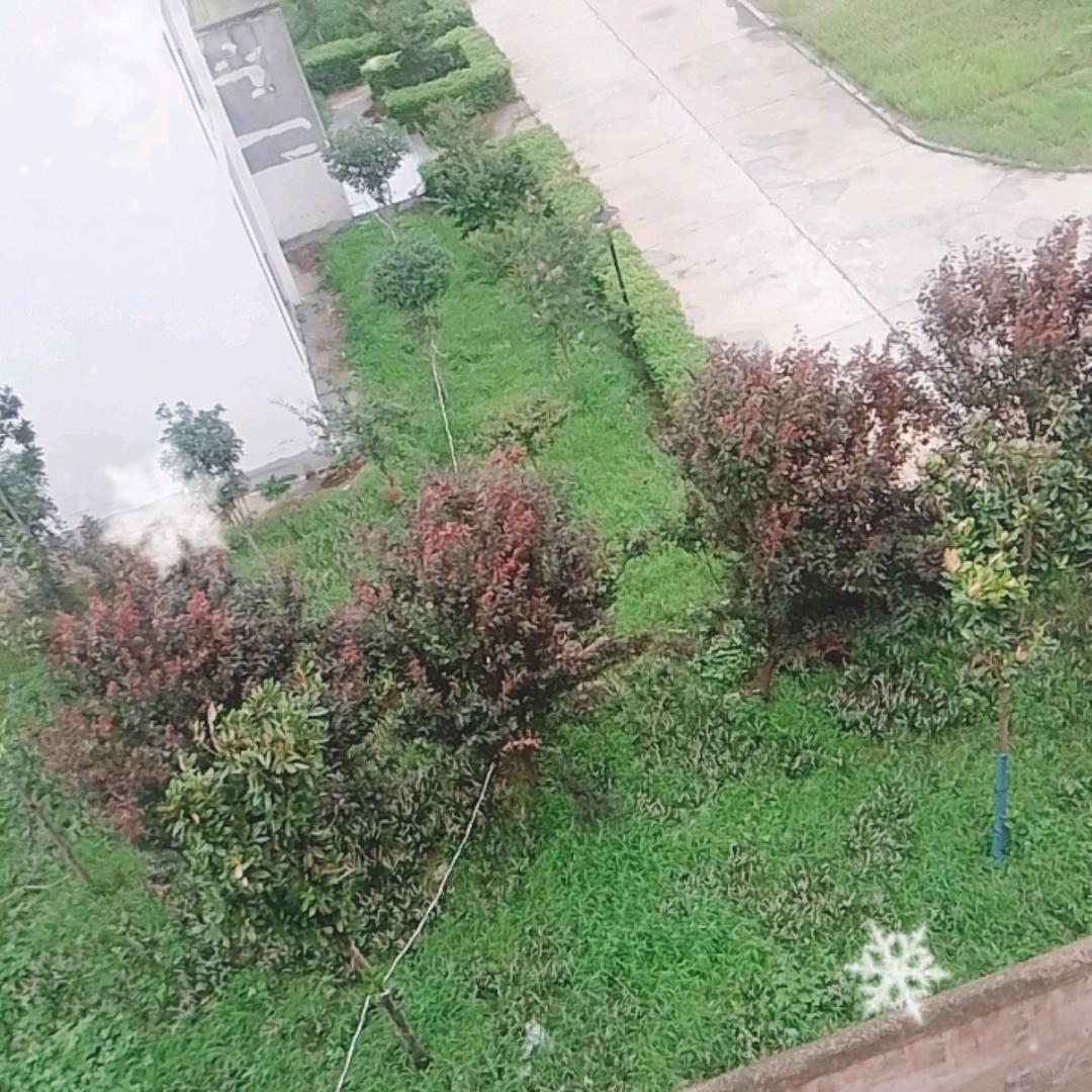 我是田锦江