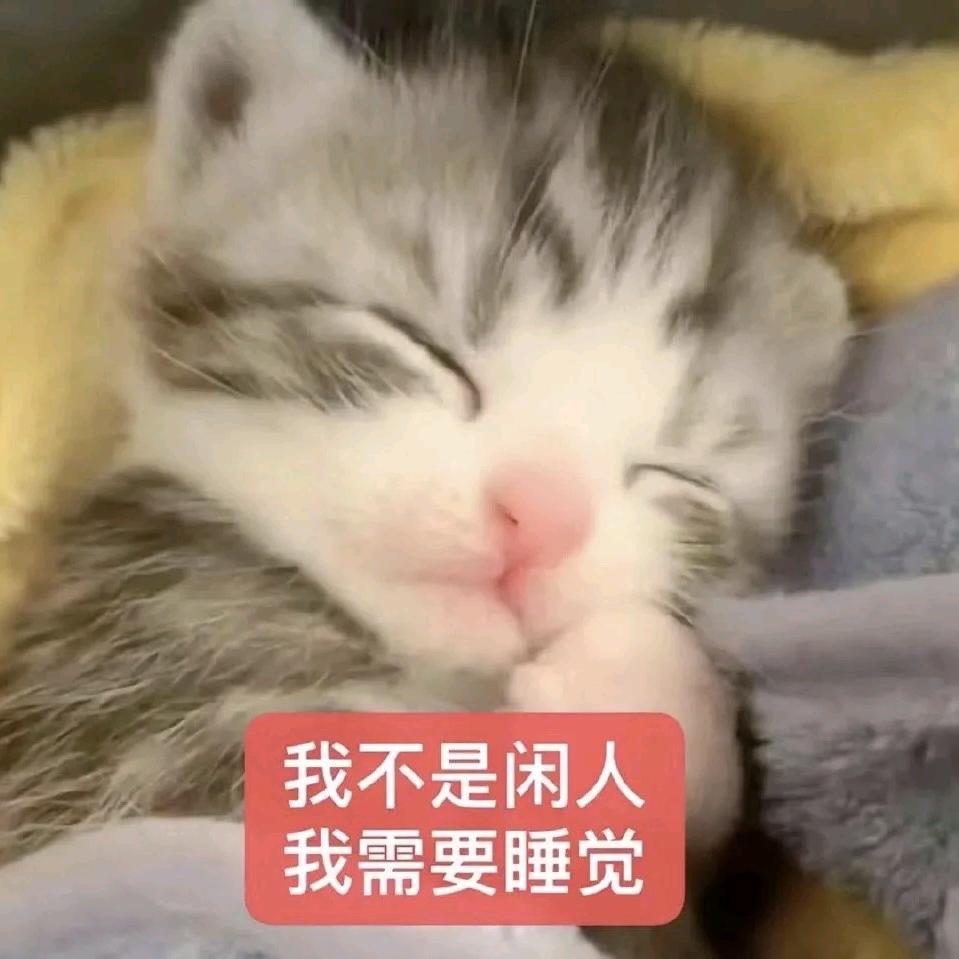 把饭拼好送给你