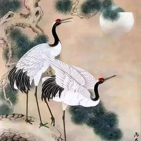 宇轩