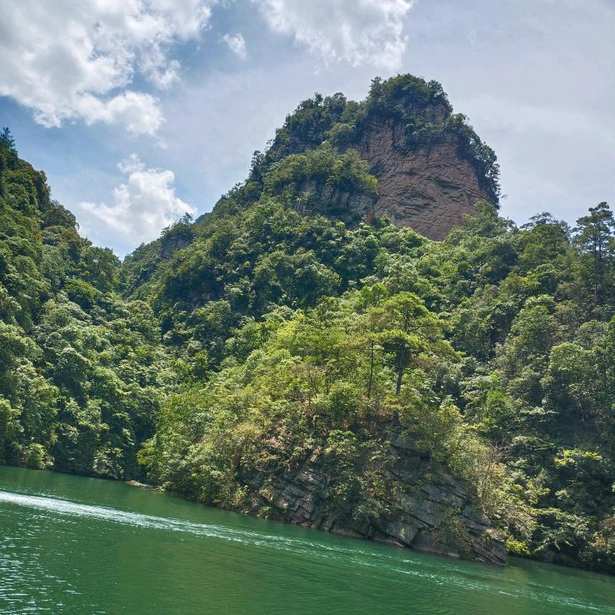 衡水惯博升学规划