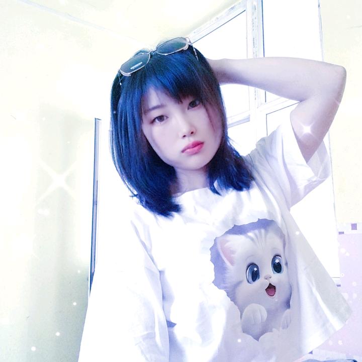 懒皮猫
