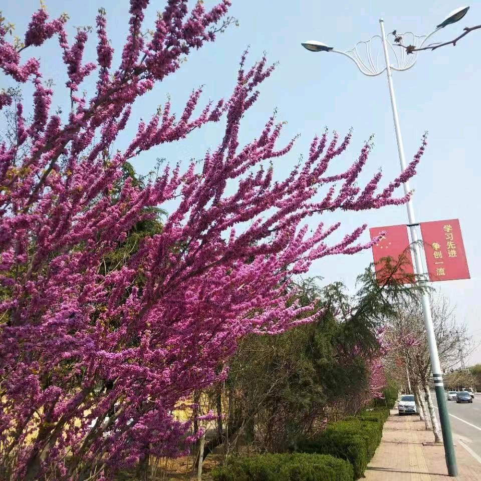 勇者至上(老张鸡蛋卷)