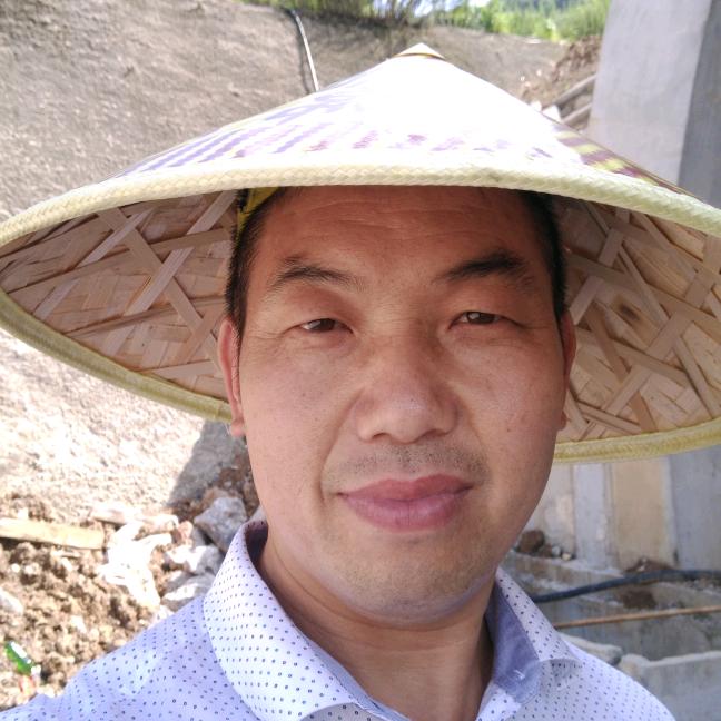 平常心态/天天把歌唱