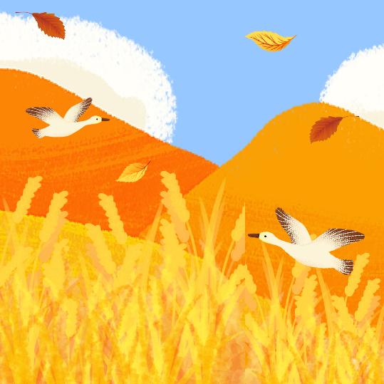 宾客综合精品店