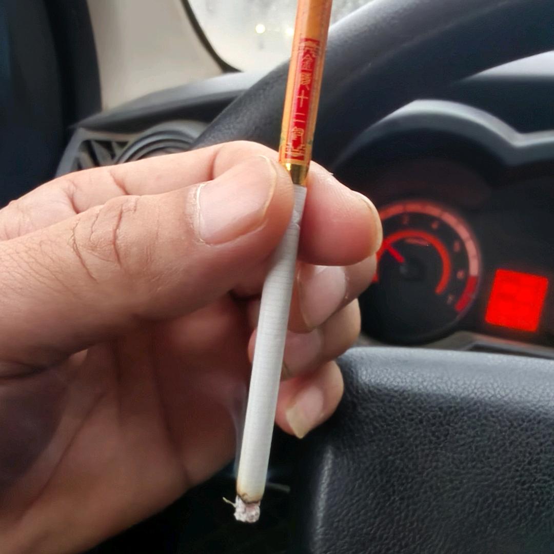 只为遇见你