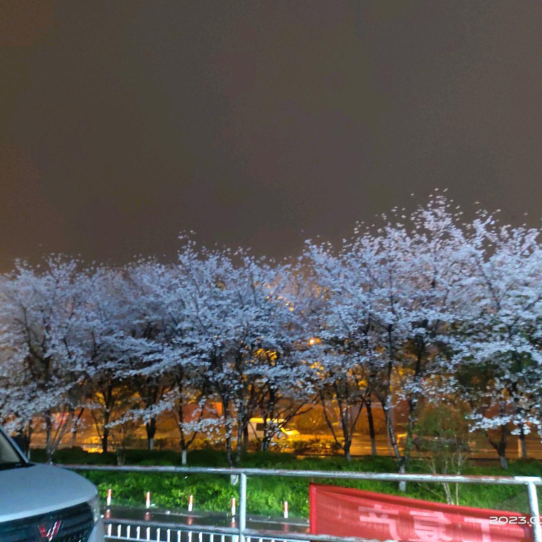 永不芬离＆
