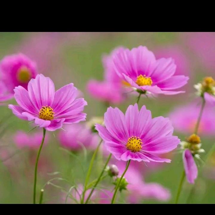 用户4988357177979小雪