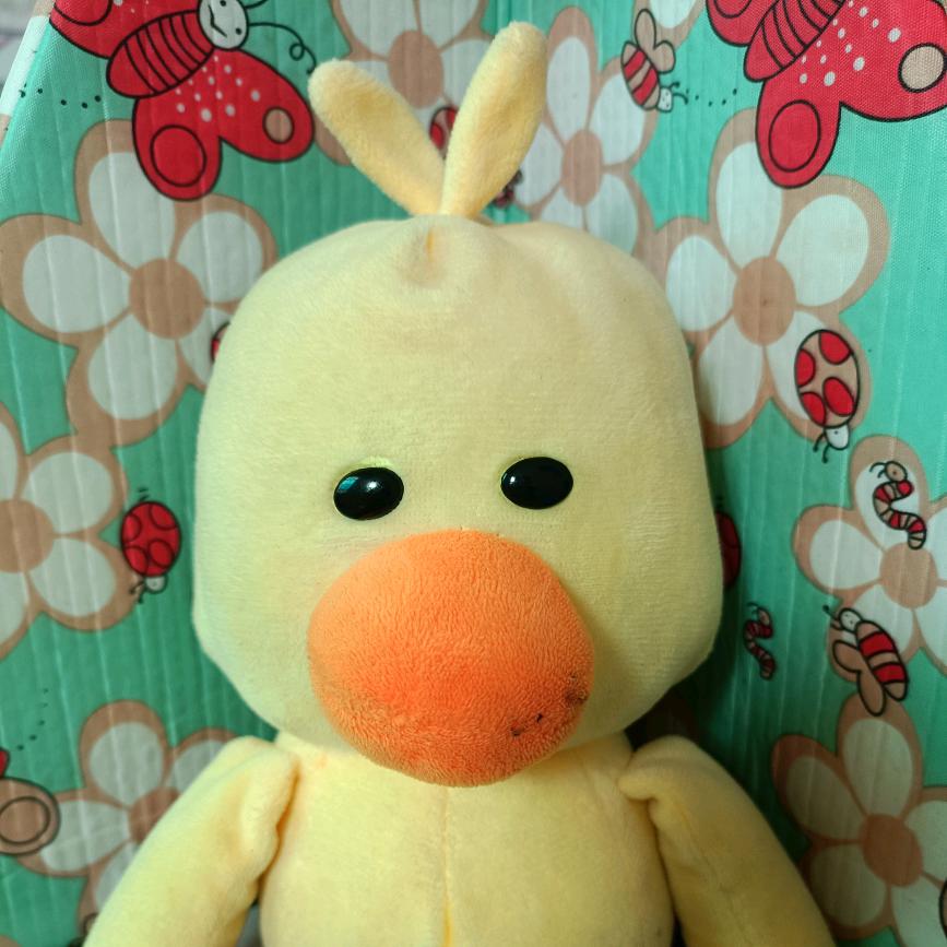 “言惜枣司宫”