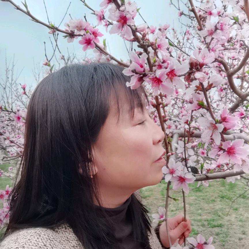 转身释然