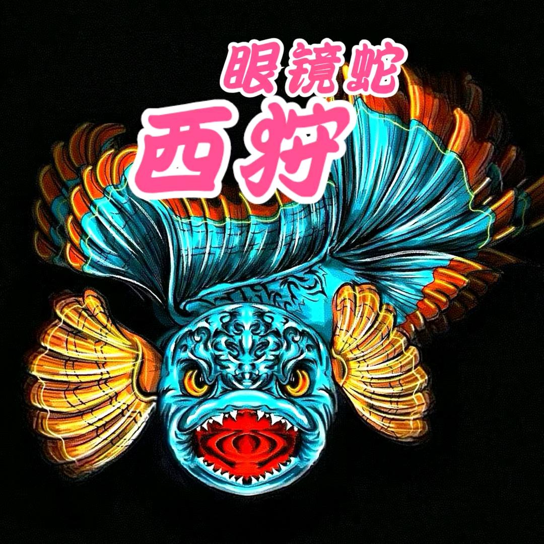 西狩眼镜蛇-弹弓皮筋定制