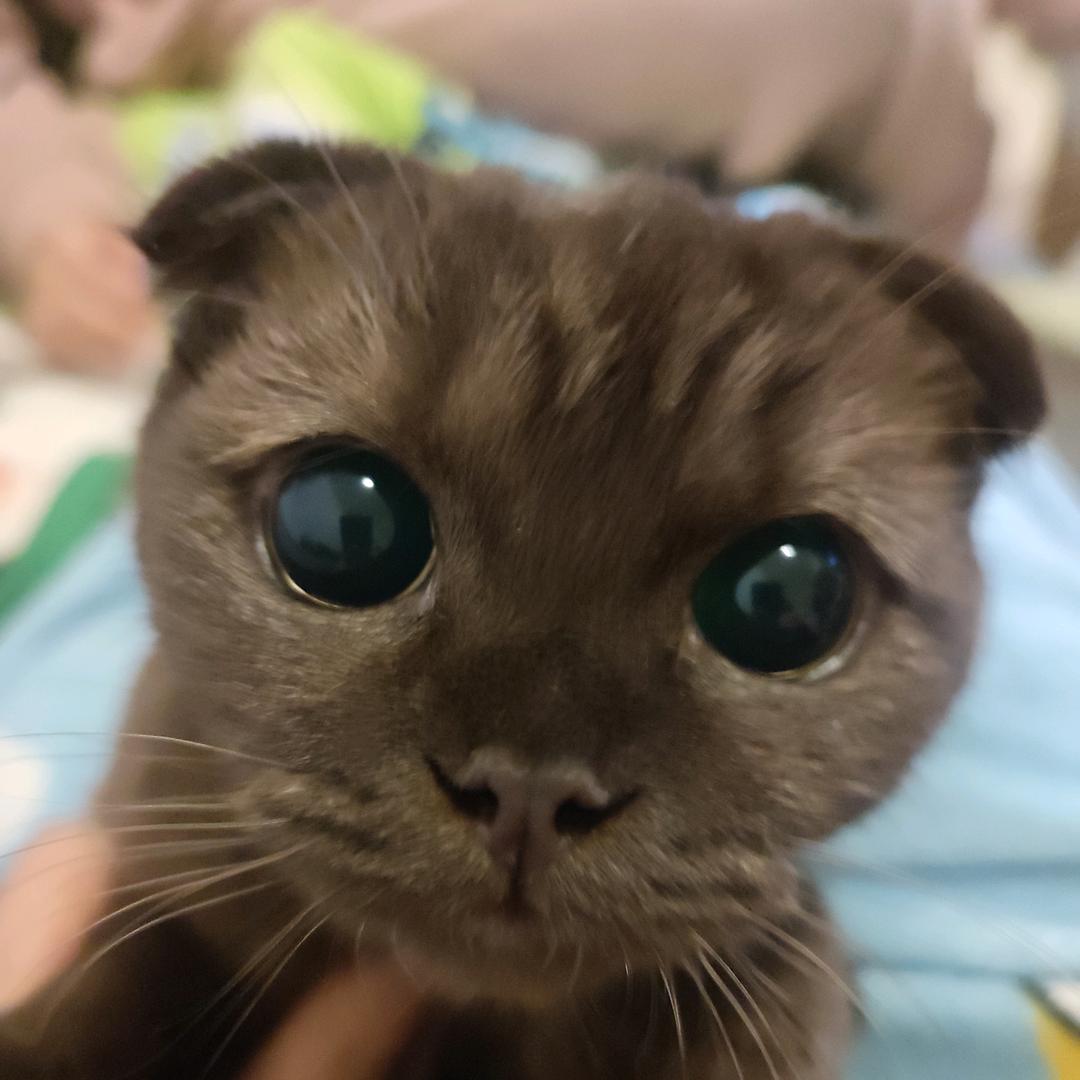 大观园里的刘姥姥