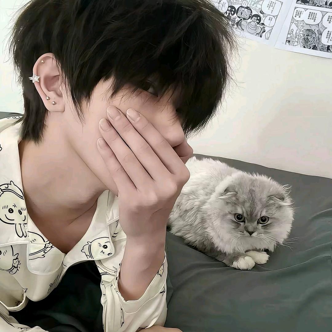 全网