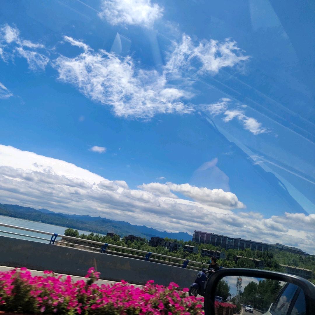 广州市天河区龙洞丽珍家私店天蓝啊的直播号