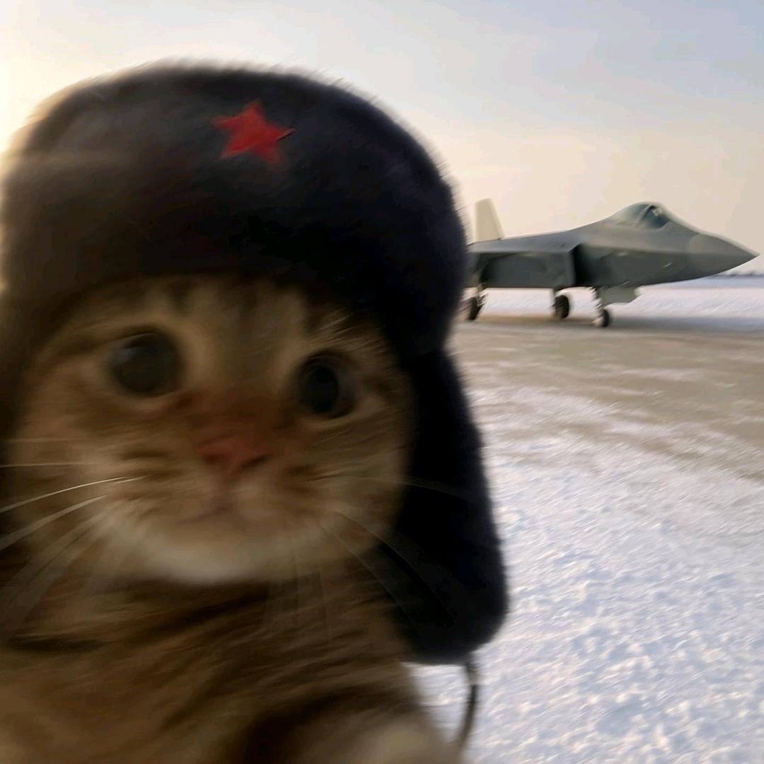 观日落