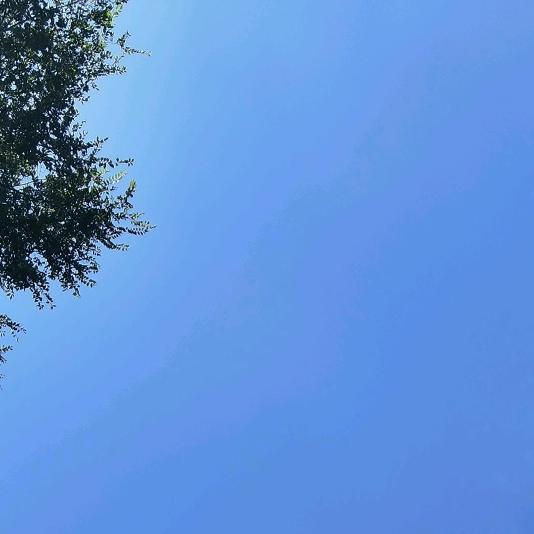 大向～弄啥嘞