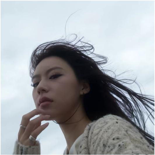一个小写的x