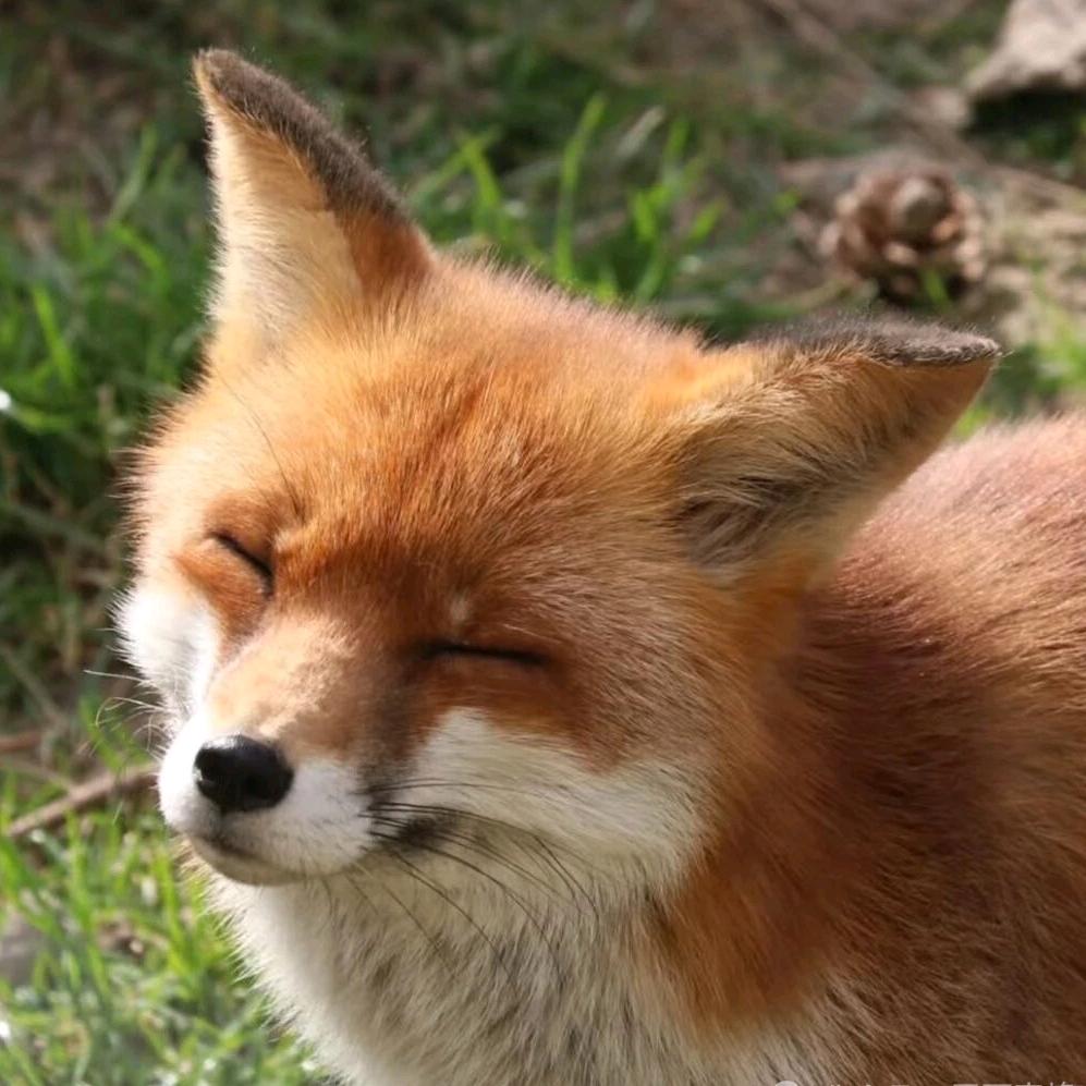 千眠优