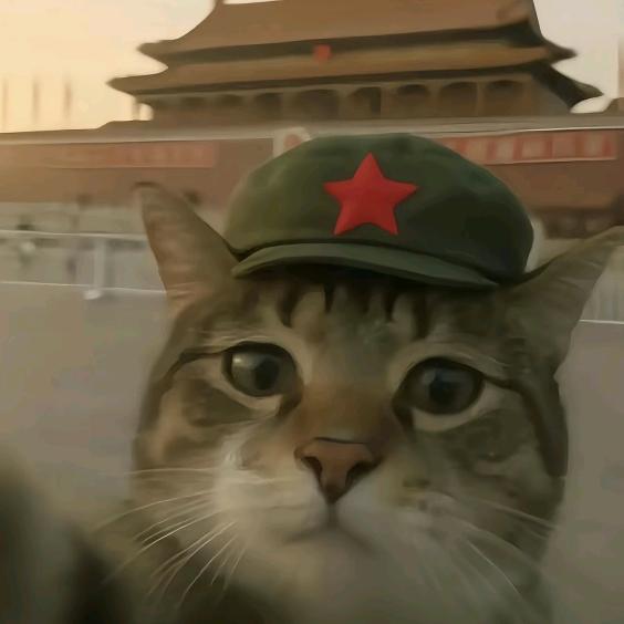 ♠老七（30岁已婚寡夫）