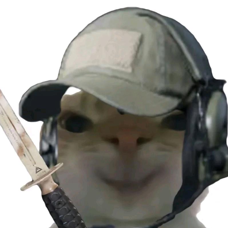 浮生（三角洲行动）