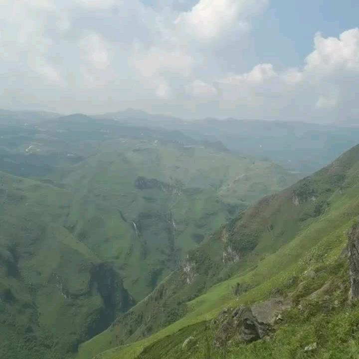 小燕子