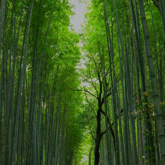朋友。󾓭