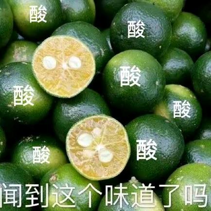 言言头像