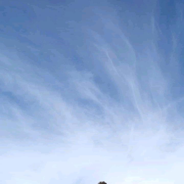 fn如沐春光