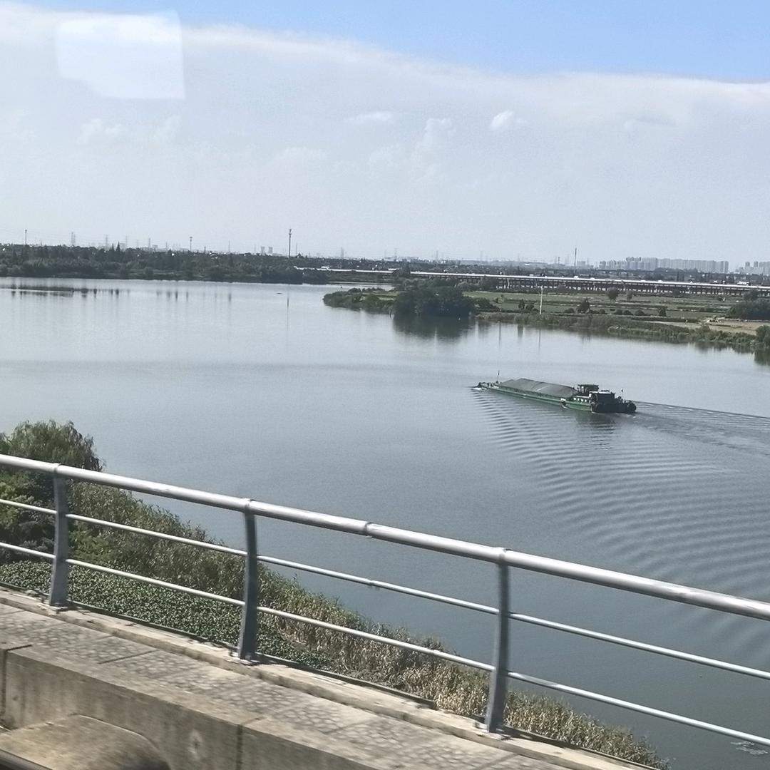 专业钓鲫鱼