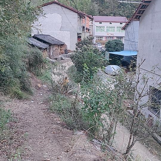 周游世界