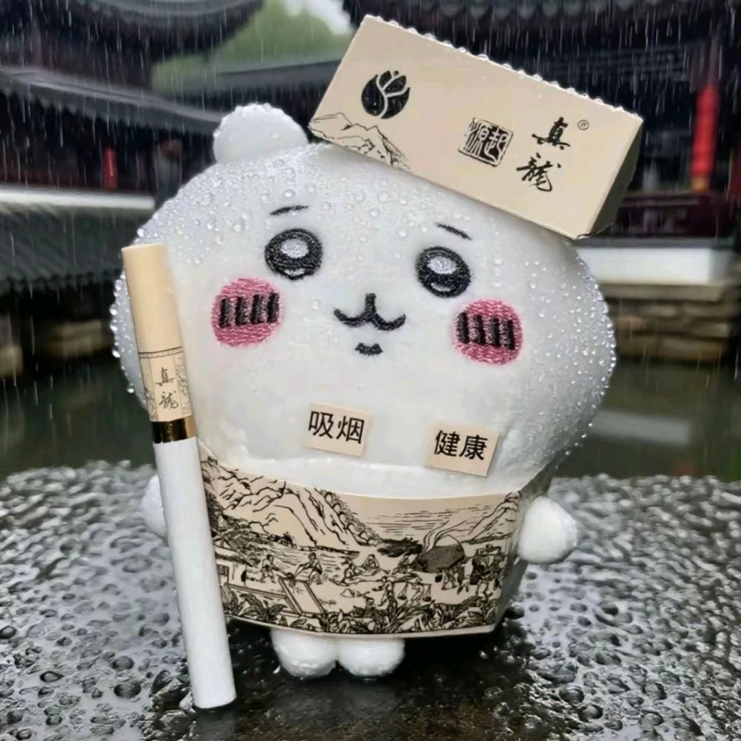 ✐ۖ 呆仔୧⍤⃝ 🐾